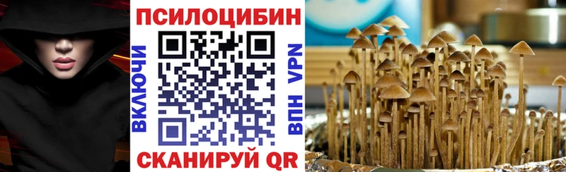 Галлюциногенные грибы прущие грибы  Купить  Облучье 
